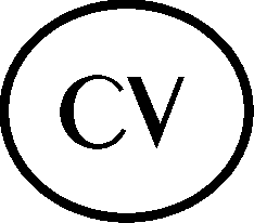 CURRICULUM VITAE